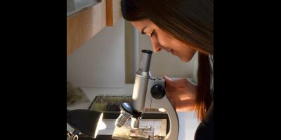 NID-5247_Oveges.JPG