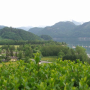 08_maj_salzburg_2.jpg