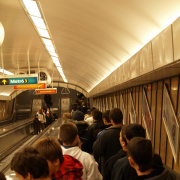 2008-11-15-00058.jpg