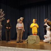 07_dec_kar_m_79.jpg
