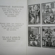 NID-578_biblia-013.jpg