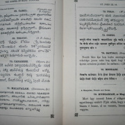 NID-578_biblia-015.jpg