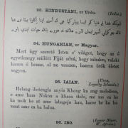 NID-578_biblia-017.jpg