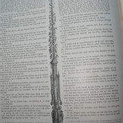 NID-578_biblia-068.jpg