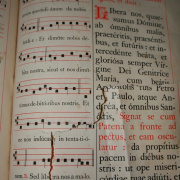 NID-578_biblia-080.jpg