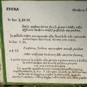 NID-858_Napoly00047.jpg