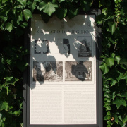 NID-858_Napoly00051.jpg