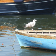 NID-858_Napoly00058.jpg