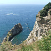 NID-858_Napoly00160.jpg