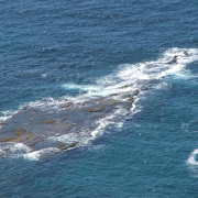 NID-858_Napoly00162.jpg