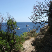 NID-858_Napoly00225.jpg