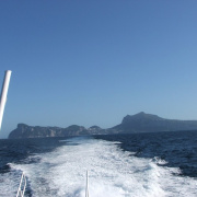 NID-858_Napoly00231.jpg