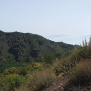 NID-858_Napoly00296.jpg