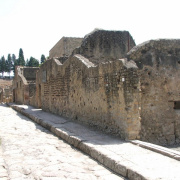 NID-858_Napoly00318.jpg
