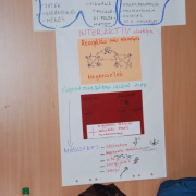 NID-868_tamop-kepzes-aug-010.jpg