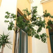 NID-902_iskolaudvar00008.jpg