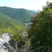 P1080387.JPG