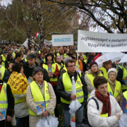 NID-1015_demonstracio00038.jpg