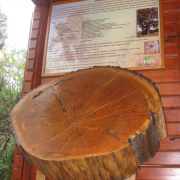 NID-1129_PB1.jpg