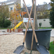 NID-1131_cserkesz_fak00008.jpg