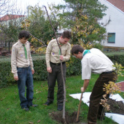 NID-1131_cserkesz_fak00054.jpg