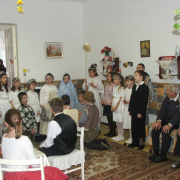 NID-1372_Platan00014.jpg