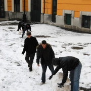 NID-1374_hoember00012.jpg