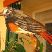 NID-1389_iro_olvaso00404.jpg