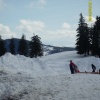 erdelyi_sitabor00013.jpg