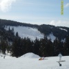 erdelyi_sitabor00015.jpg