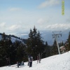 erdelyi_sitabor00018.jpg