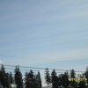 erdelyi_sitabor00028.jpg