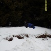 erdelyi_sitabor00029.jpg