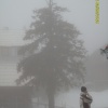 erdelyi_sitabor00041.jpg
