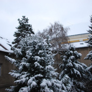 NID-1429_tel00019.jpg