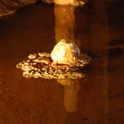 NID-1474_Nagykaroly2010-088.jpg