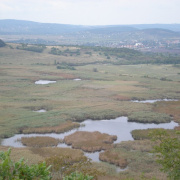 NID-404_2008-09-27-047.jpg