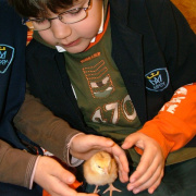 NID-1502_csibek00006.jpg