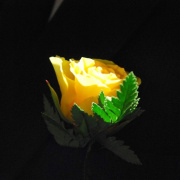 ballagas00139.jpg