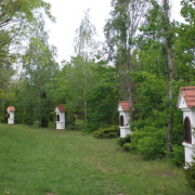 NID-1581_Madarak_es_Fak_Napja00191.jpg