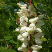 NID-1598_punkosdi_lelkinap00027.jpg