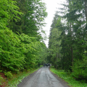 NID-1618_Csiksomlyo00021.jpg