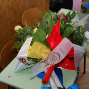 NID-1641_ballagas00054.jpg