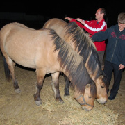 NID-1564_szerenad00174.jpg