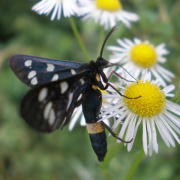 NID-1654_kirandulas00095.jpg