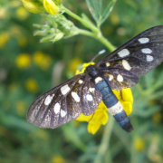 NID-1654_kirandulas00110.jpg