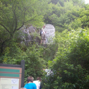 NID-1678_Bukkzserc00006.jpg