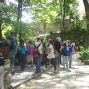 NID-1678_Bukkzserc00020.jpg
