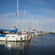 NID-1708_Dania00130.JPG