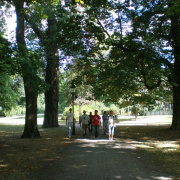 NID-1708_Svedorszag107.jpg